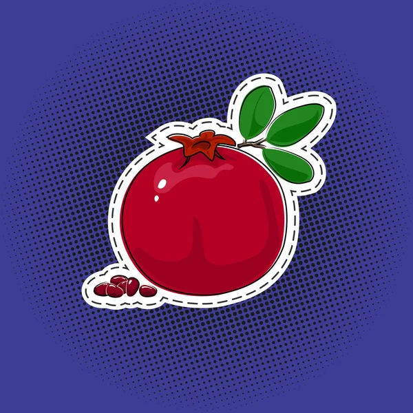 Fruit granaatappel sticker op een pop art achtergrond — Stockvector