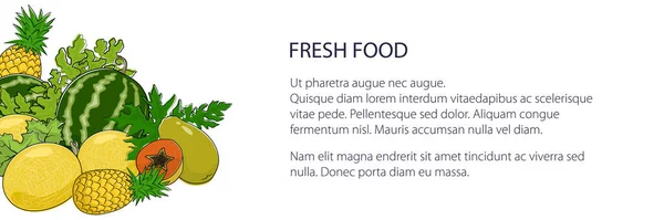 Banner Juicy Tropical Summer Berries Fruits Natural Organic Healthy Food — Stock Vector