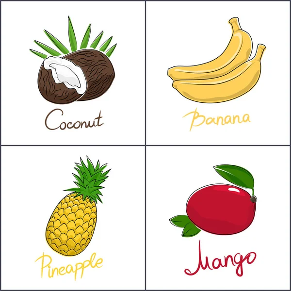 Conjunto Frutas Tropicales Aisladas Sobre Fondo Blanco Con Nombre Fruta — Vector de stock