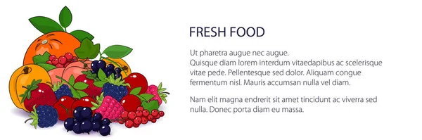 带有多汁夏季浆果和水果的横幅 天然有机和健康食品概念 新鲜生态水果 病媒图解 — 图库矢量图片