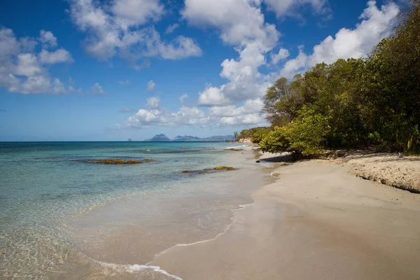 Wild Beach Sainte Anne City Diamond Rock Backround Martinique Karib — Stock Fotó