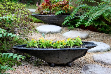 Japon bahçesinden bir parça. Saksı ve yürüyüş yolu