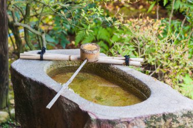 Japonya 'da arındırma için kaynak, geleneksel Bambu Çeşmesi