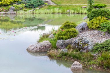 Göl dekorasyonu. Cüce kozalaklı ve taşlı