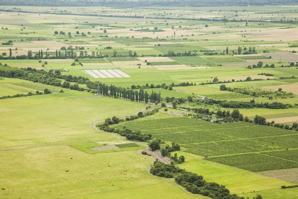 Alazani Tal Alte Nekresi — Stockfoto