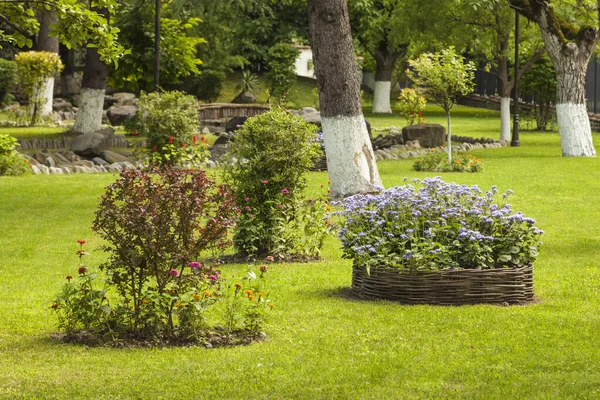 Landscape Flower Garden Lawn Trees Flower Beds — Stock Photo, Image