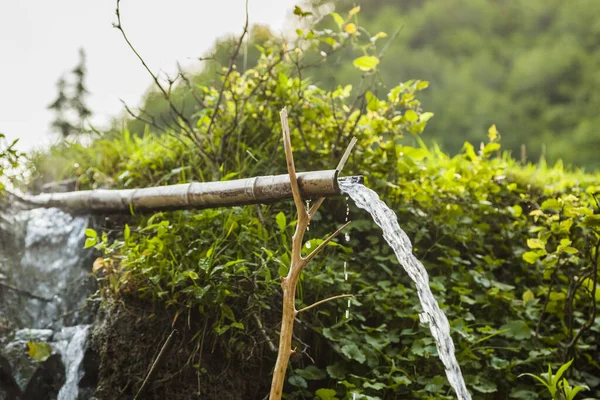 Water Sources Bamboo Pipe — Stock Photo, Image