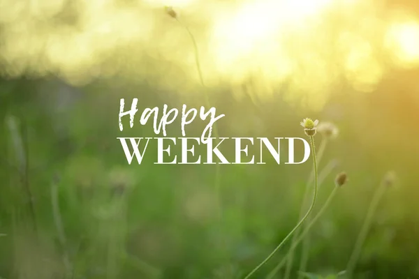 Mutlu hafta sonu kavramı doğa arka plan üzerinde