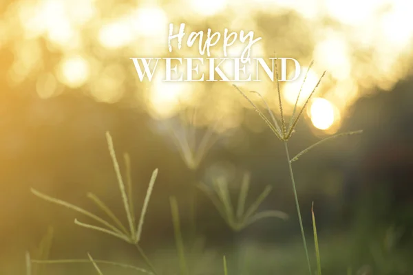 Happy Weekend Conceito Sobre Fundo Natureza — Fotografia de Stock