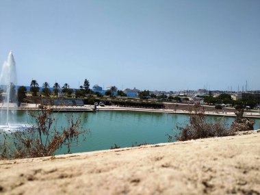 Palma-de-Mallorca limanının görüntüsü