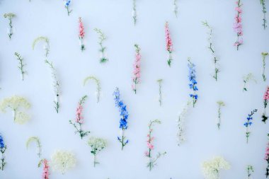 Çiçek renkli kurulum. Beyaz, mavi, pembe, sarı renklerden oluşan bir duvara sabitlenmiş bir sürü çiçek. Duvarların dekorasyonu. Klasik ev dekorasyonu arkaplanı.