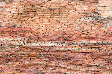 Kopya alanı olan eski tuğla duvara yerleştir