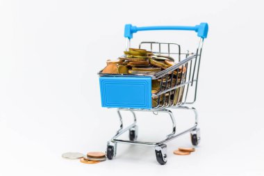 Süpermarket arabasında para yığını, para harcama zamanı.