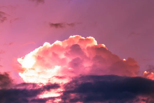 Pink neon light clouds in overcast sky