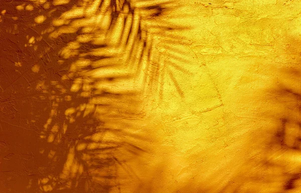 明亮的橙色墙壁上的棕榈叶 — 图库照片