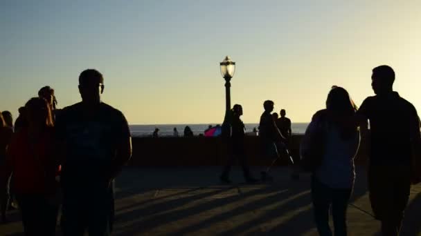 特派团海滩散步道 — 图库视频影像