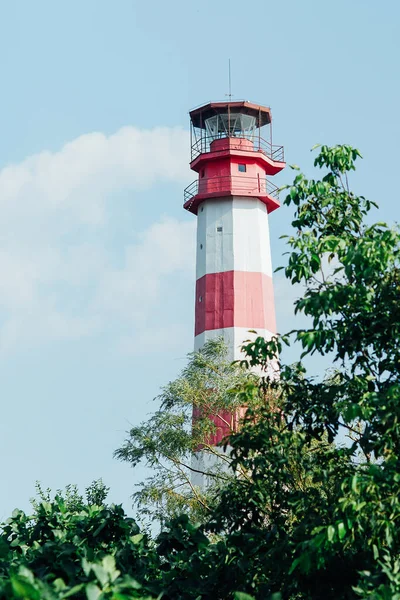 Rusya 'nın Gelendzhik şehrinde bir deniz feneri.