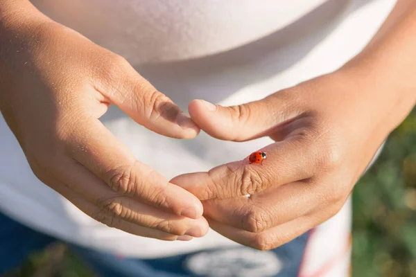 Bir uğur böceği oğlanın koluna oturdu..