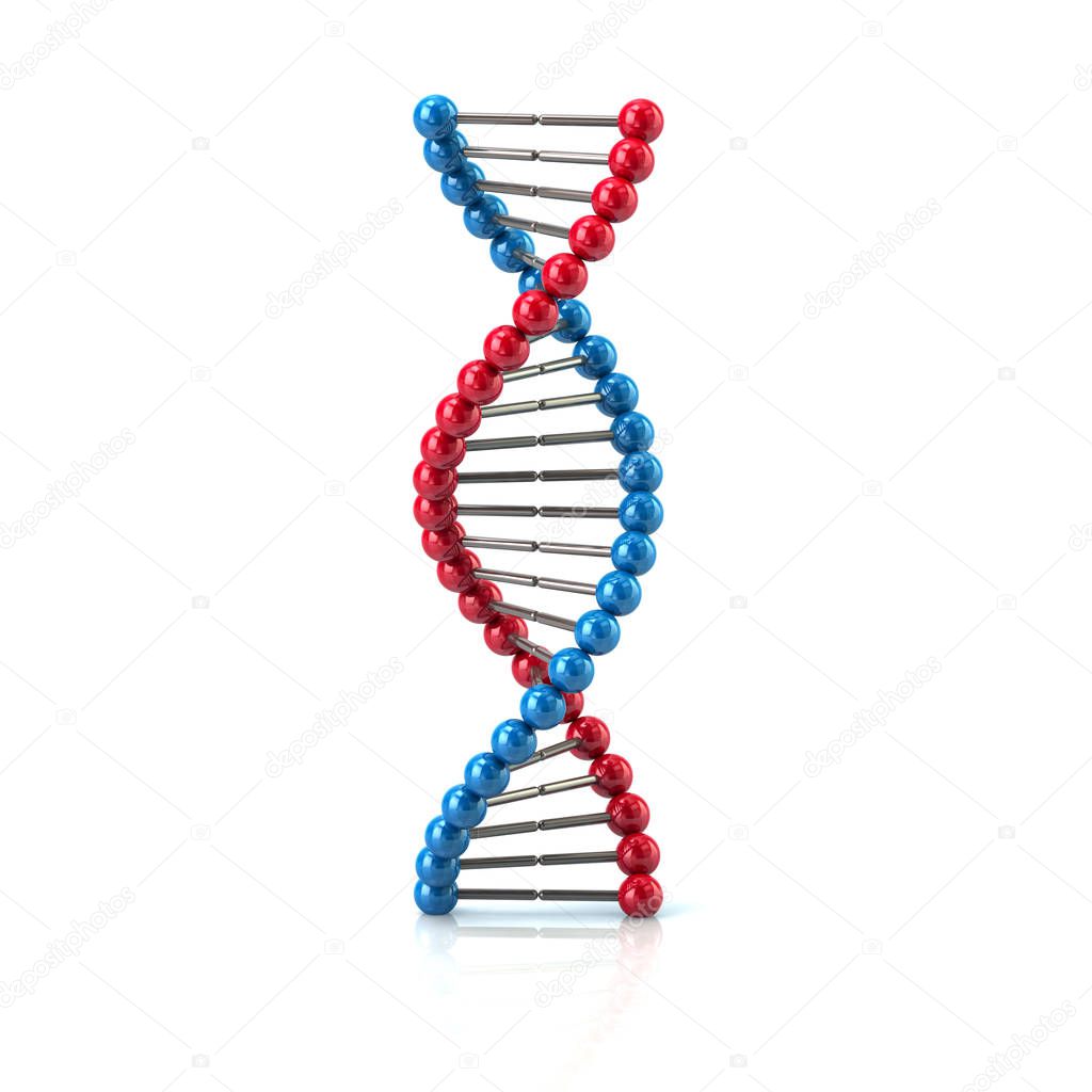 Blue and red DNA icon