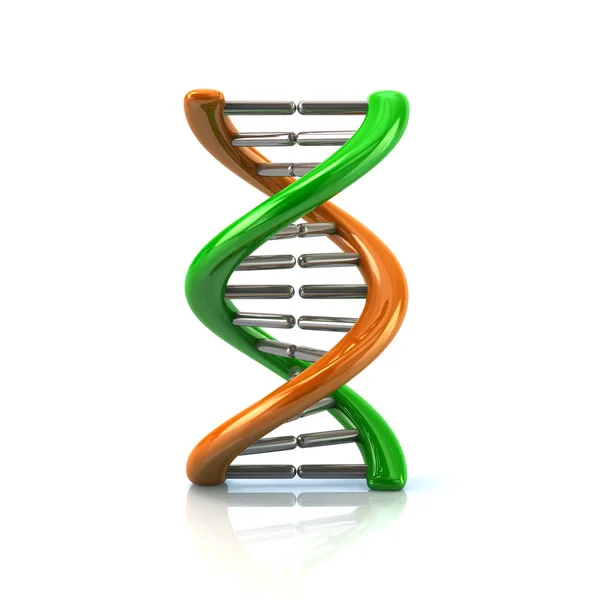 Ícone de molécula de DNA verde e laranja — Fotografia de Stock