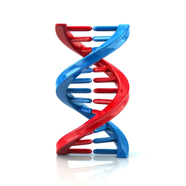Icona della molecola di DNA blu e rosso — Foto Stock