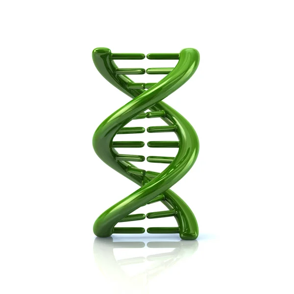 Icona della molecola di DNA verde — Foto Stock