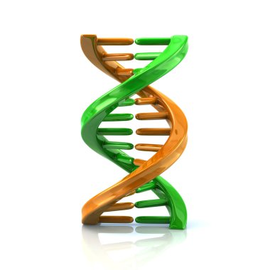 yeşil ve turuncu Dna molekülü simgesi 