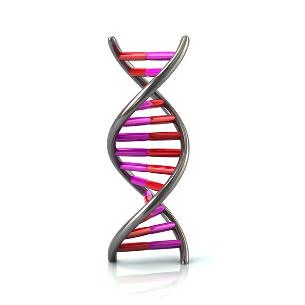 Icona modello DNA viola e rosso — Foto Stock