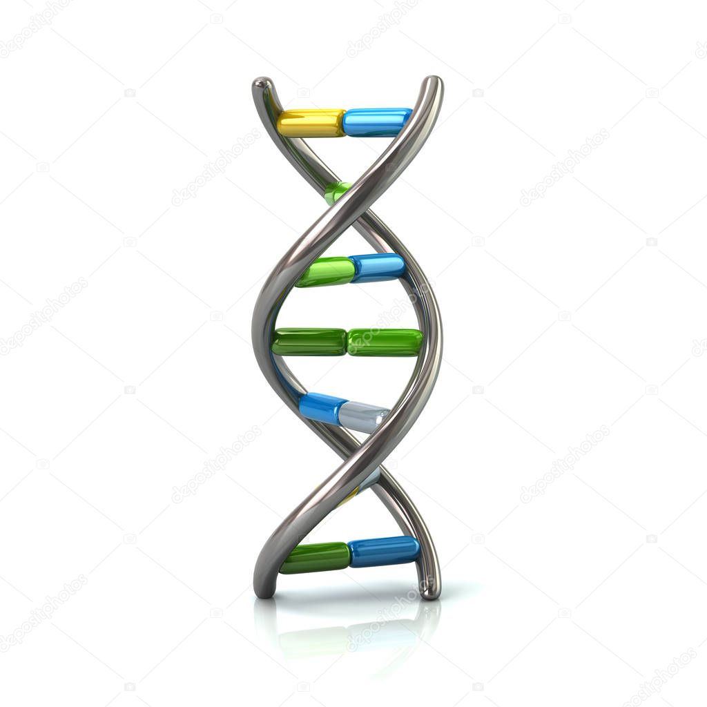 DNA model icon
