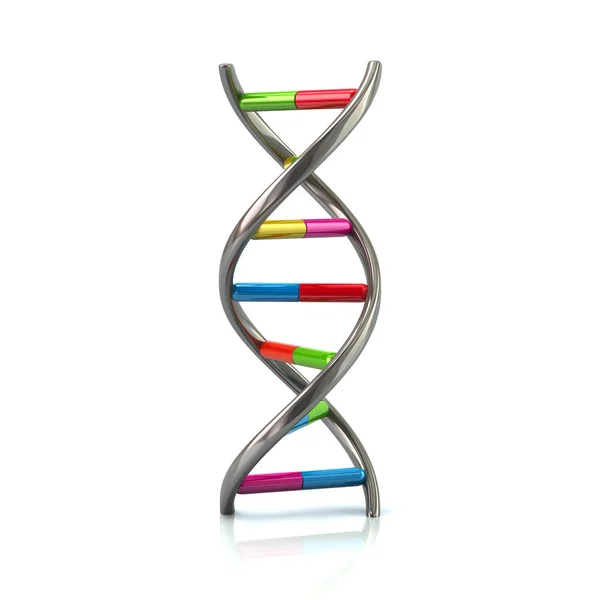 Ícone de modelo de DNA colorido — Fotografia de Stock