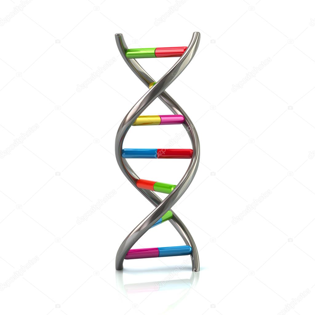 Colorful DNA model icon