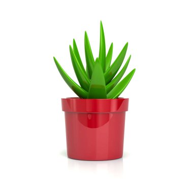 Red Plant Ot Simgesi 3d Görüntü