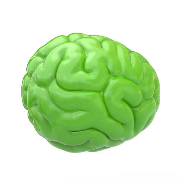 Ícone Cérebro Verde Ilustração Isolado Fundo Branco — Fotografia de Stock