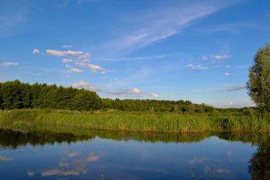 Nehirde güneşli açık bir gün