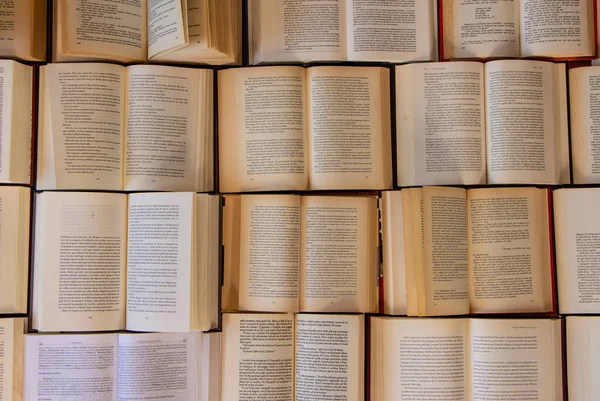 Old Books Open Table Side Side Cause Research Texture View — Stock Photo, Image