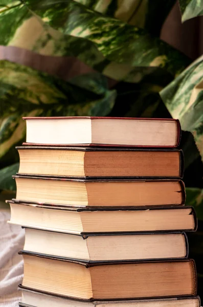 Old research books of different colors stacked with a green plant on the background. Selective focus. Copy Space.