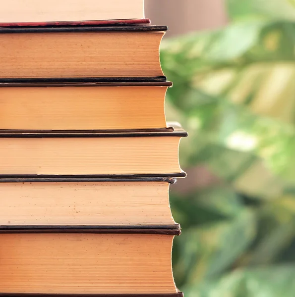 Arka planda farklı renklerde bitkilerle dolu eski araştırma kitapları. Uzayı kopyala Seçici odak..