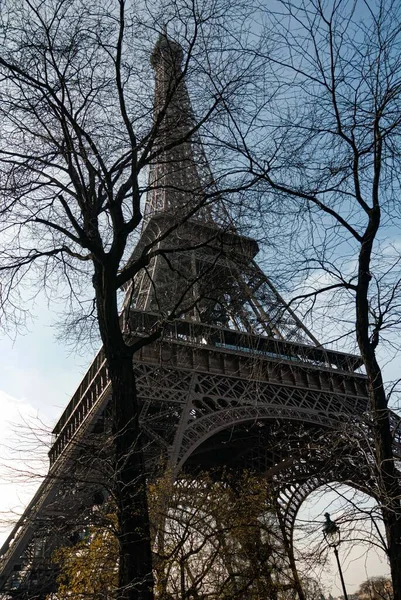 Torre Eiffel Fundo Azul Céu Árvore Primeiro Plano — Fotografia de Stock