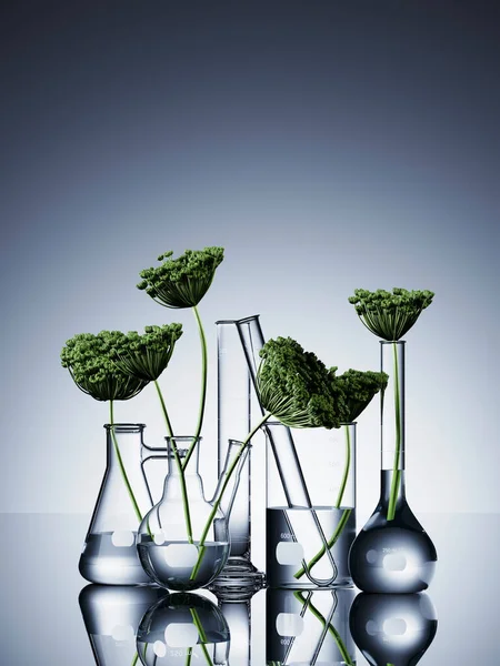 Doğal ve organik konsept için minimum kozmetik bileşim. Beyaz arka planda yeşil yapraklar, laboratuvar camları. 3d resimleme.