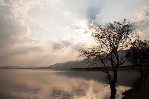  Bir ağacın altındaki bataklıkta renkli bir gün batımı.