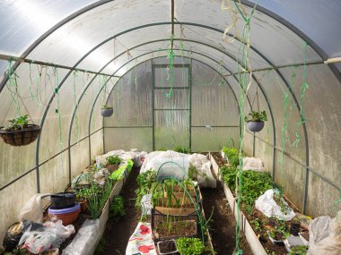 İçeriden bitki ve enstrümanlarla dolu bir yatak.