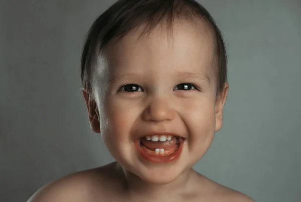Portrait Cute Laughing Little Boy Gray Background — Stock Photo, Image