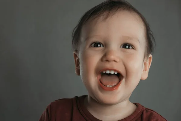 Portrait Cute Laughing Little Boy Gray Background — Stock Photo, Image