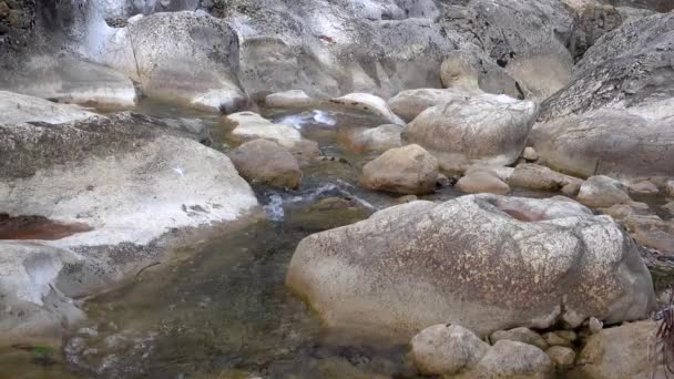 Φθινόπωρο και δάσος, πολύχρωμα δέντρα και φύλλα, καταρράκτη — Αρχείο Βίντεο