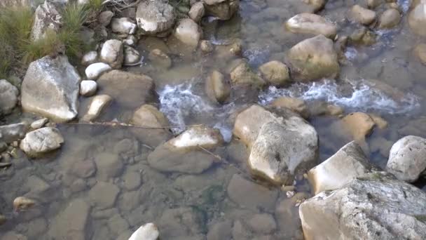 Outono e floresta, árvores coloridas e folhas, cachoeira — Vídeo de Stock