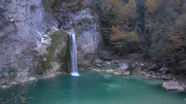 Herfst en bos, kleurrijke bomen en bladeren, waterval — Stockvideo