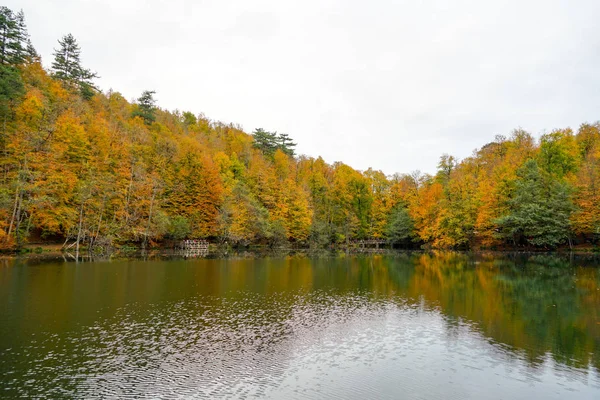 Осінь, ліс, барвисті листя і водоспад, струмок, вид на озеро — стокове фото