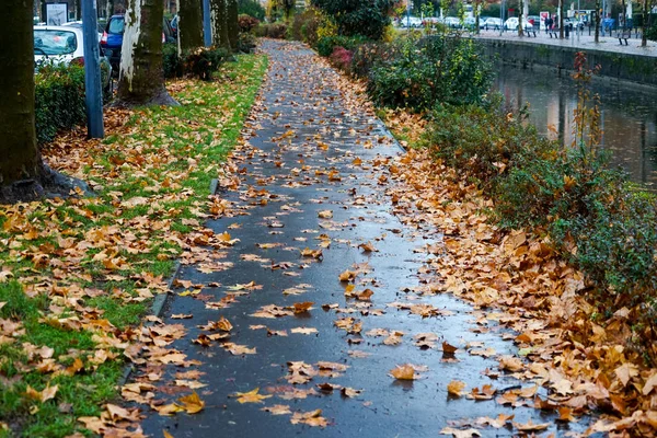 Toulouse şehir ve Carcassonne eski şehir ve kale