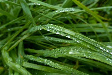 Su damla, arka plan, doku