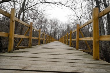 Ahşap yürüyüş yolu ormandaki